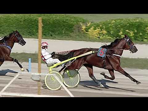 Aversa trotto 30 Settembre 2020 - 4° Corsa