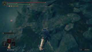 エルデンリングDLCを全力で楽しむ Part2