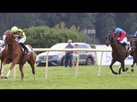 Zauberkönig wird am 10.08.2025 Dritter im Hoppegartener Steherpreis