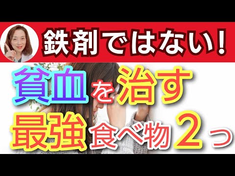 犬用の鉄分が豊富な食べ物