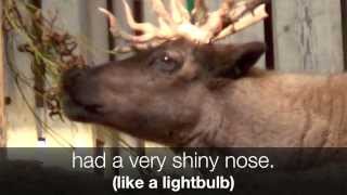 RUDOLPH the Red-Nosed Reindeer  (Children&#39;s Christmas Song) Lyrics