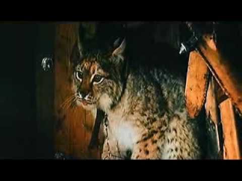 Првобитна Русија (са српским титловима) 4. део