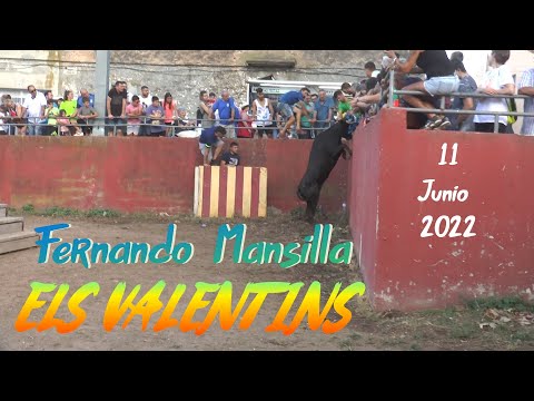 2022 06 11 ELS VALENTINS FERNANDO MANSILLA