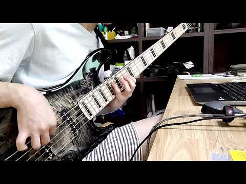 Havona 2018 (Jaco Pastorius) - Evan Marien Bass solo transcription