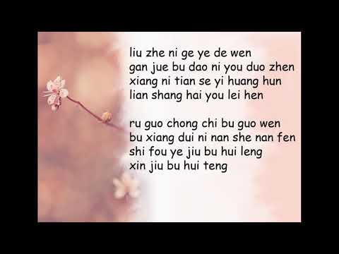 Broken Hearted Woman Lyrics Video - Faye Wong