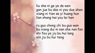 Download lagu Broken Hearted Woman Lyrics Video - Faye Wong mp3