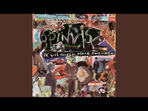 Het Voordeel Van Video (Live at Stubru)