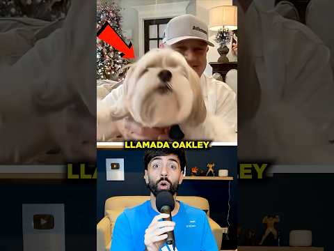 Está gata SALVÓ a un perro de 2 COYOTES 😱 #sabiasque #curiosidades