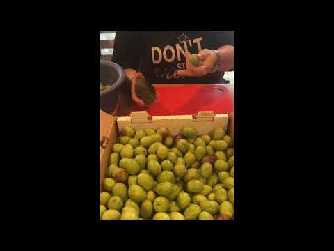 Making Sicilian olives