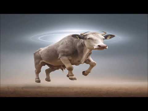 Distortion Orchestra - Vitamin Freak (2004)