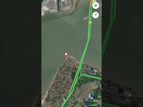 Paris snake bones/ Nature place #anaconda #snake bones