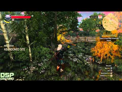 The Witcher 3 (PS4) playthrough pt14 - HUGE Bear Showdown!
