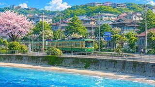 Train Carrying Summer Dreams 🌊 Japanese Lofi For Peaceful Mornings & Beautiful Days 🌊 Lofi Summer
