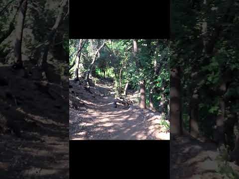 ¿Sabías de éste paraíso? 🤯🤩 Santuario De La Naturaleza El Arrayán 🌿