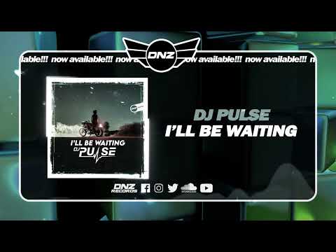 DNZF1484 // DJ PULSE - I'LL BE WAITING (Official Video DNZ Records)