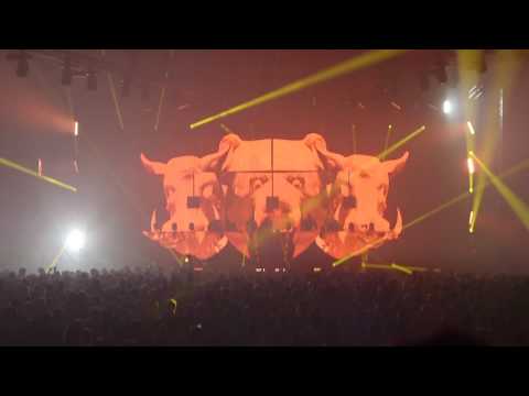 ANIMALZ - Paris - 23.04.16 - Annix X Hizzleguy X MC impact - Full Live Set