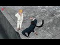 One Punch Man JC STAFF VS MADHOUSE Animation Comparison Episode 7
