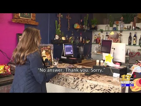 Taco shop gets 20+ health inspection violations