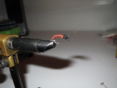 Perhon sidontaa -  Larva