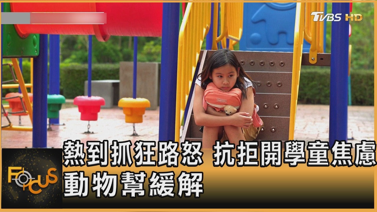 FOCUS全球新聞／熱到抓狂路怒　抗拒開學童焦慮　動物幫緩解