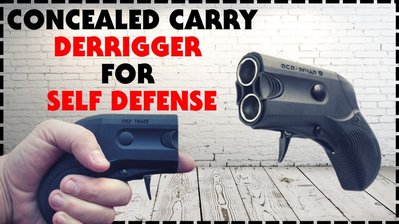 Derringer Aegis For Self Defense And Home Defense