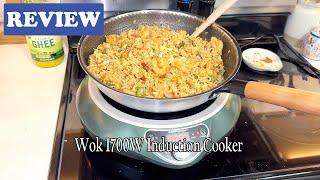 Abangdun Wok 1700W Induction Cooker Review - See Before Buying