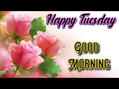 Happy Tuesday, Good Morning Wishes and Quotes, Whats app status video 🌹💐🌺