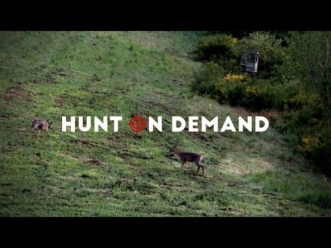 Sauen und Böcke ohne Ende - Jagd in der Eifel - Huntingroom Hunt on Demand Trailer