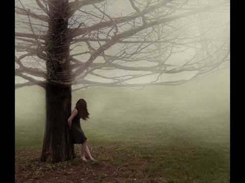 Jardim da Inocencia - Paulo César Baruk