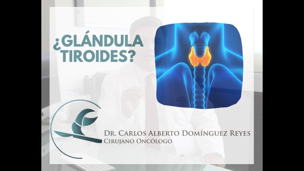 Carlos Alberto Domínguez Reyes-9