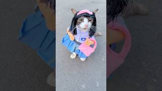 Download lagu ZESIKA the cat and dad picking up his sister from school #cats #cats #cutecats mp3