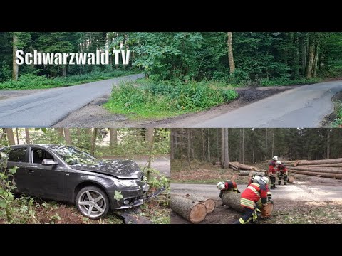 🚨🚒 Rickenbach: Motorradfahrer weicht SUV aus und stürzt - Feuerwehr im Einsatz [11.07.2023]