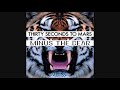 "War Excuses" (Minus the Bear vs. 30 Seconds to Mars) [Grave Danger Mashup]