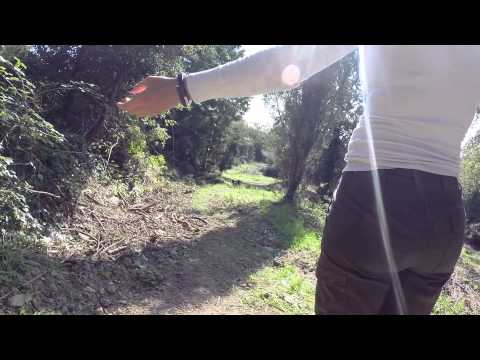 download lagu mp3 mp4 Stenveyz Mango Mango, download lagu Stenveyz Mango Mango gratis, unduh video klip Stenveyz Mango Mango