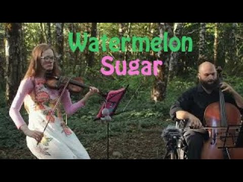 Promotional video thumbnail 11 for Lepard String Duo