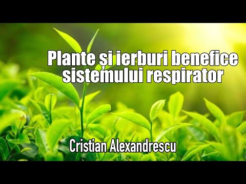 plante vindecatoare artroza