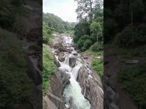 #nature #naturelovers #naturephotography