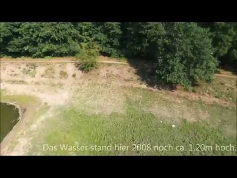 Krötenteich Rahnsdorf