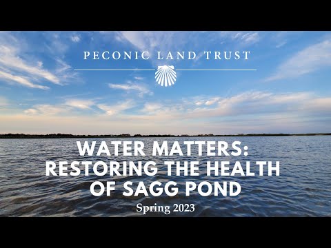 Water Matters: Restoring the Health of Sagg Pond