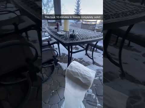 Toilet Paper Roll Frozen Solid