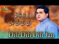 Dili Dili Dili Jaan Shah Farooq New Style Song 2024 دلٸ دلٸ دلٸ جان