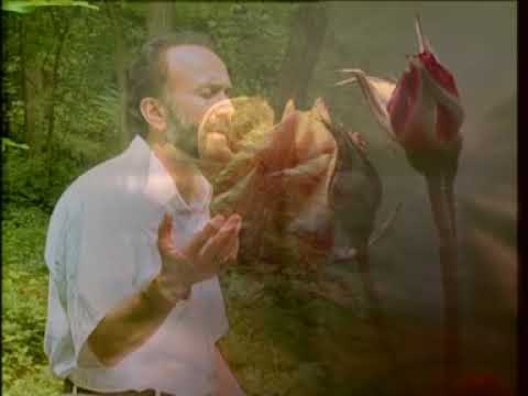 Cemal Kuru - Yalan Dünya