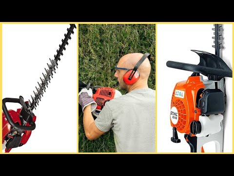 Meilleur taille-haie thermique 2024 : mon top 3 testé