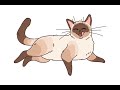 The Living Tombstone Cats Slowed Reverb