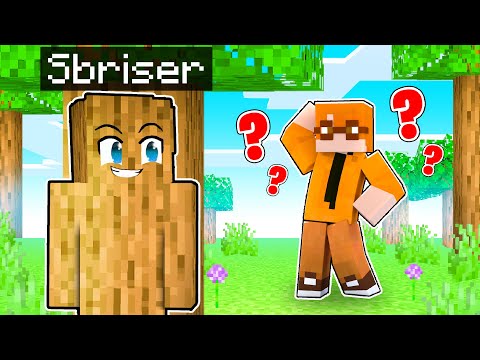 Scherzo INVISIBILE Estremo Nel NASCONDINO Su Minecraft!