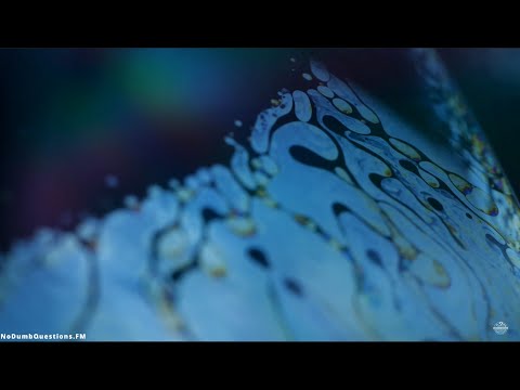 No Dumb Questions 064 - Who was the Red Baron?