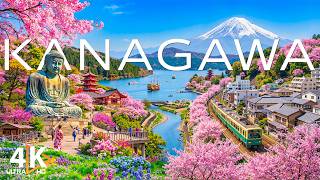 Spring in Japan [ Kanagawa ] 4K 🌸 Cherry Blossoms, Coastal Views & Peaceful Nature near Mount Fuji