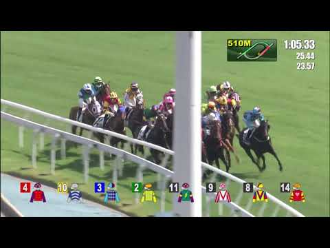 23/5/2021 (694) Free Foal - Matthew Chadwick