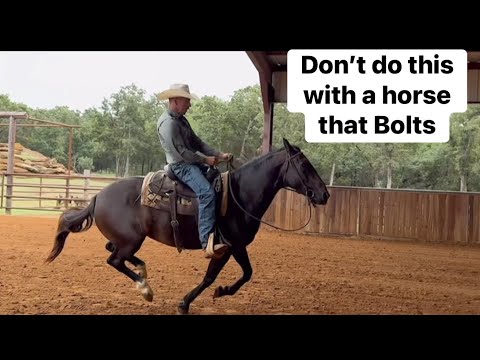 Dangerous Bolting Issue on horse, Can I help her??