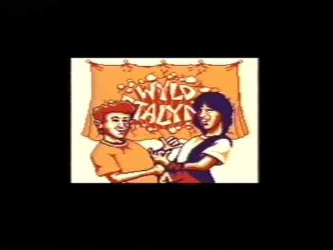 Bill & Ted's Excellent Adventure Game Boy